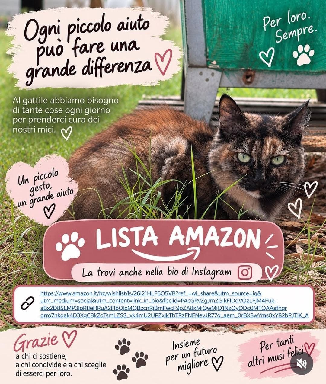 Lista Amazon