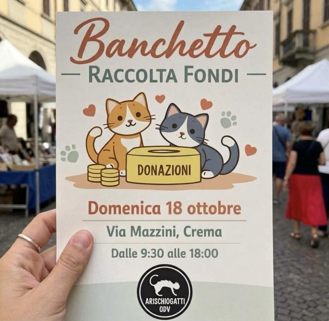 Banchetto raccolta fondi
